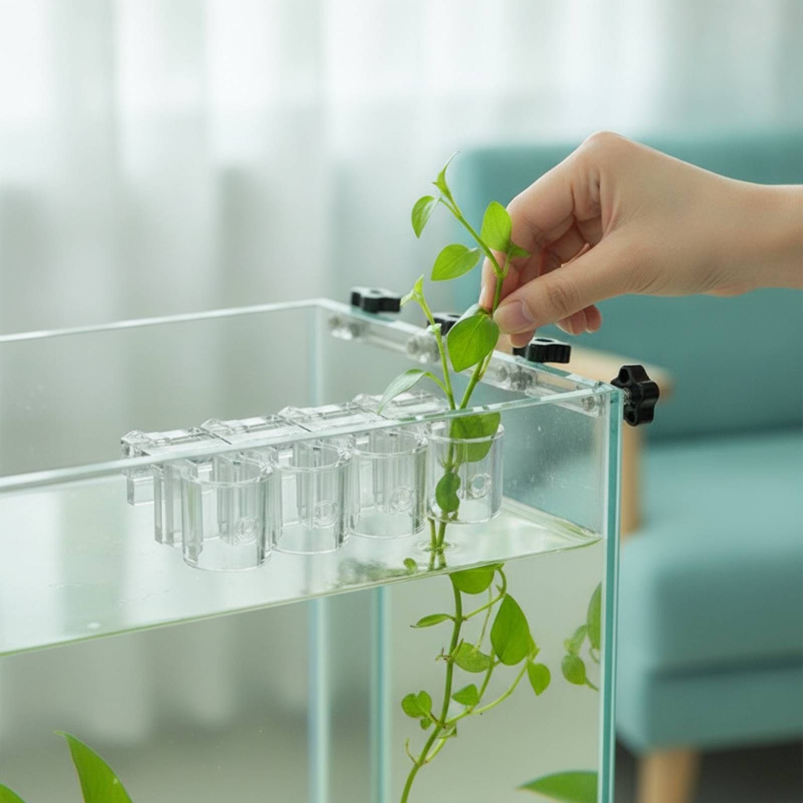 Aquarium Plant - 6개 수족관 플랜터 투명 수경 재배