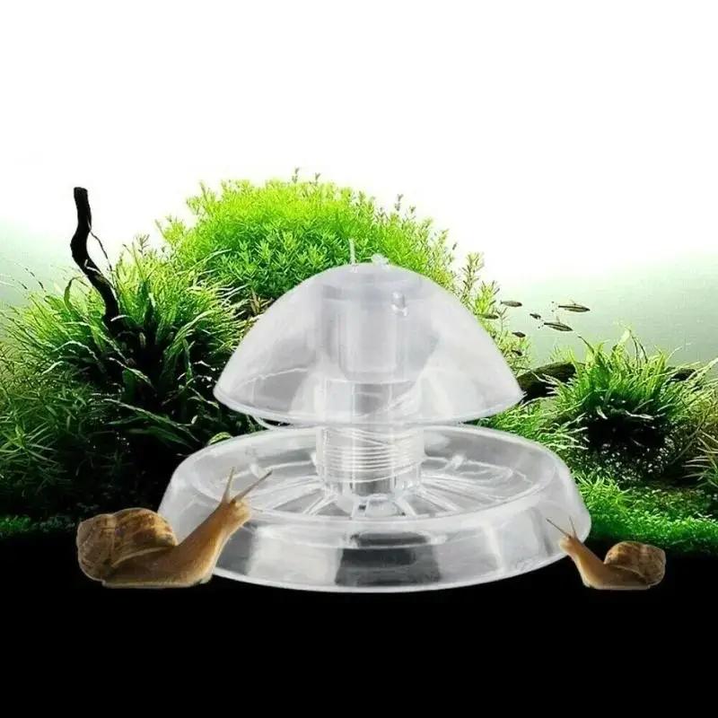 Aquarium Planting Ideas - 2026년형 새로운 6/8CM 투명 플라스틱 달팽이