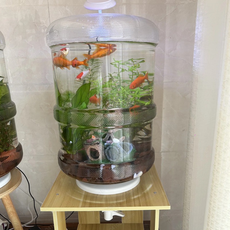 Aquarium Planted Set Up - 즉시 설치 가능한 가정용 어항 30x30cm