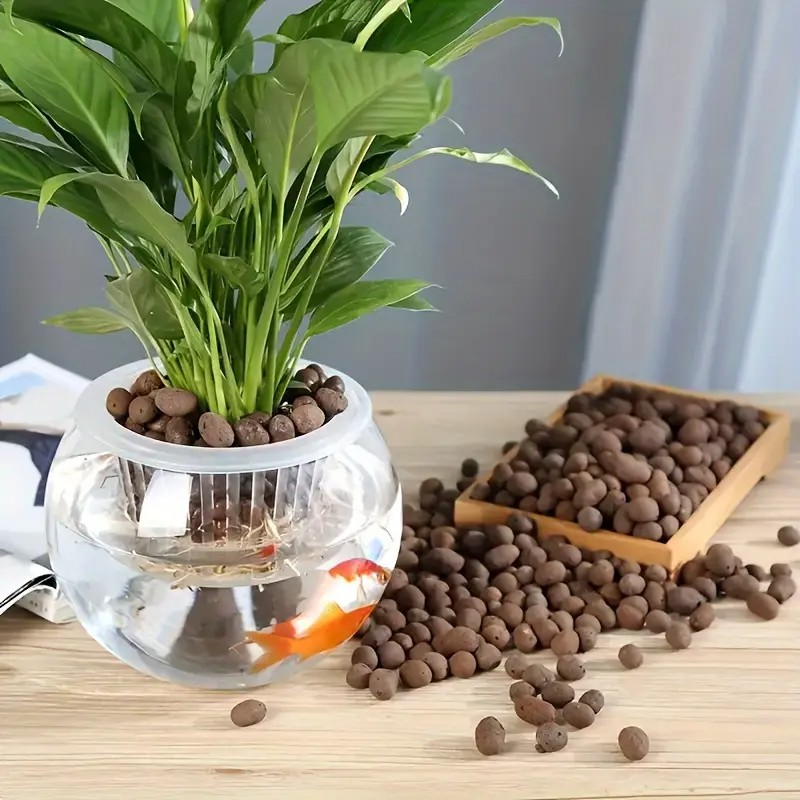 수족관 장식, 수생 식물 재배, 다육 식물 및 분재용  - Aquarium Plant 리뷰 및 가격