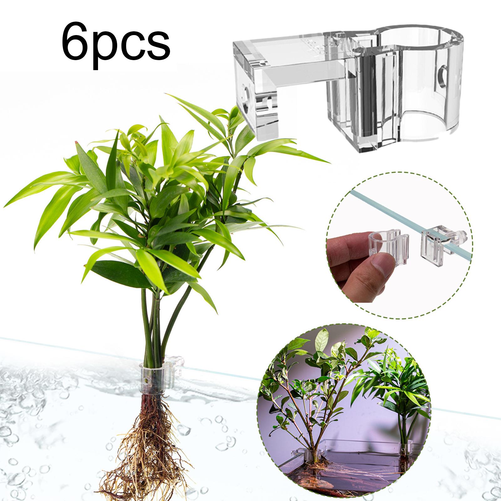투명 수족관 식물 홀더 벽걸이형 수경재배 화분 (유리  - Aquarium Planted Set Up 리뷰 및 가격