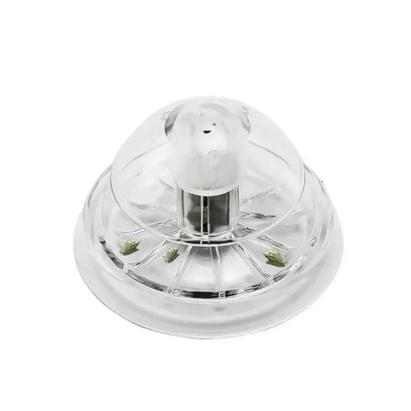 2026년형 새로운 6/8CM 투명 플라스틱 달팽이 트 - Aquarium Planting Ideas 리뷰 및 가격
