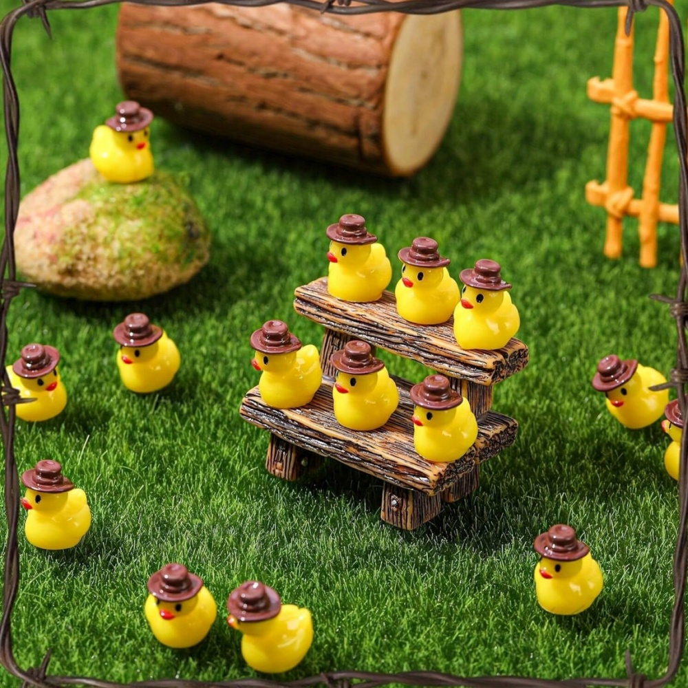 50개 미니 레진 카우보이 오리 피규어, 카우보이 모자 - Aquarium Planting Ideas 리뷰 및 가격