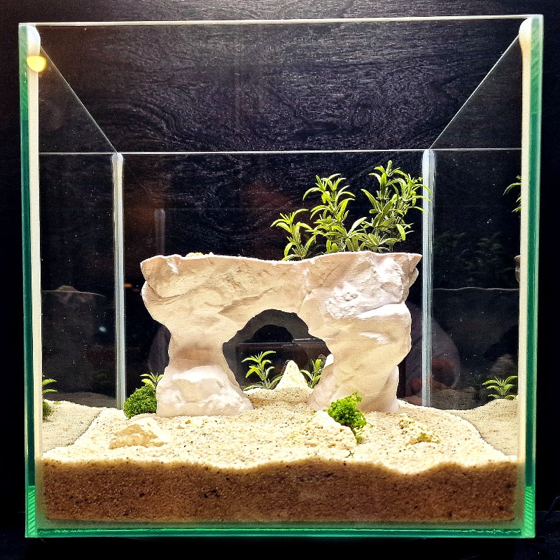 3D 프린팅 수족관 식재 바구니 수경재배 지지대 아쿠아 - Aquarium Planted Tank Soil 리뷰 및 가격