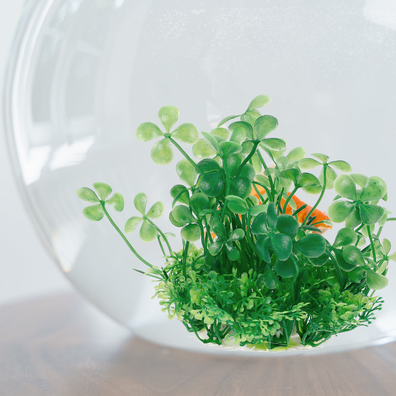 정교하게 제작된 플라스틱 인조 수족관 식물, 실제와 흡 - Aquarium Planted Set Up 리뷰 및 가격