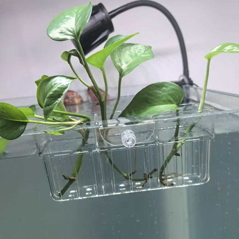 수경재배 식물 바구니 식품 등급 수생 식물 홀더 1개입 - Aquarium Plant 리뷰 및 가격