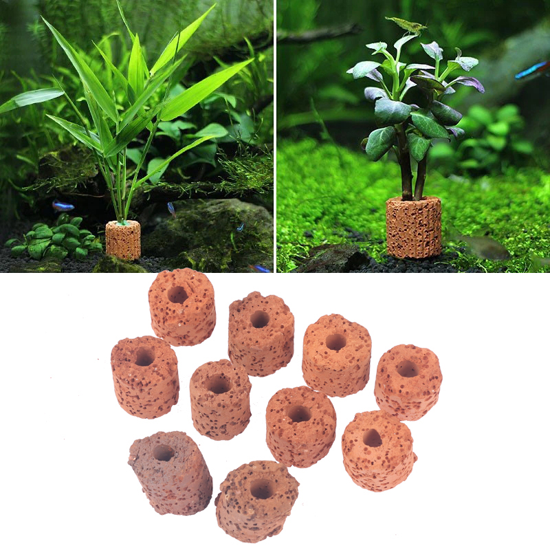 10개 미니 수생 식물 링 바이오 링 수족관 식물 장식 - Aquarium Planted Set Up 리뷰 및 가격