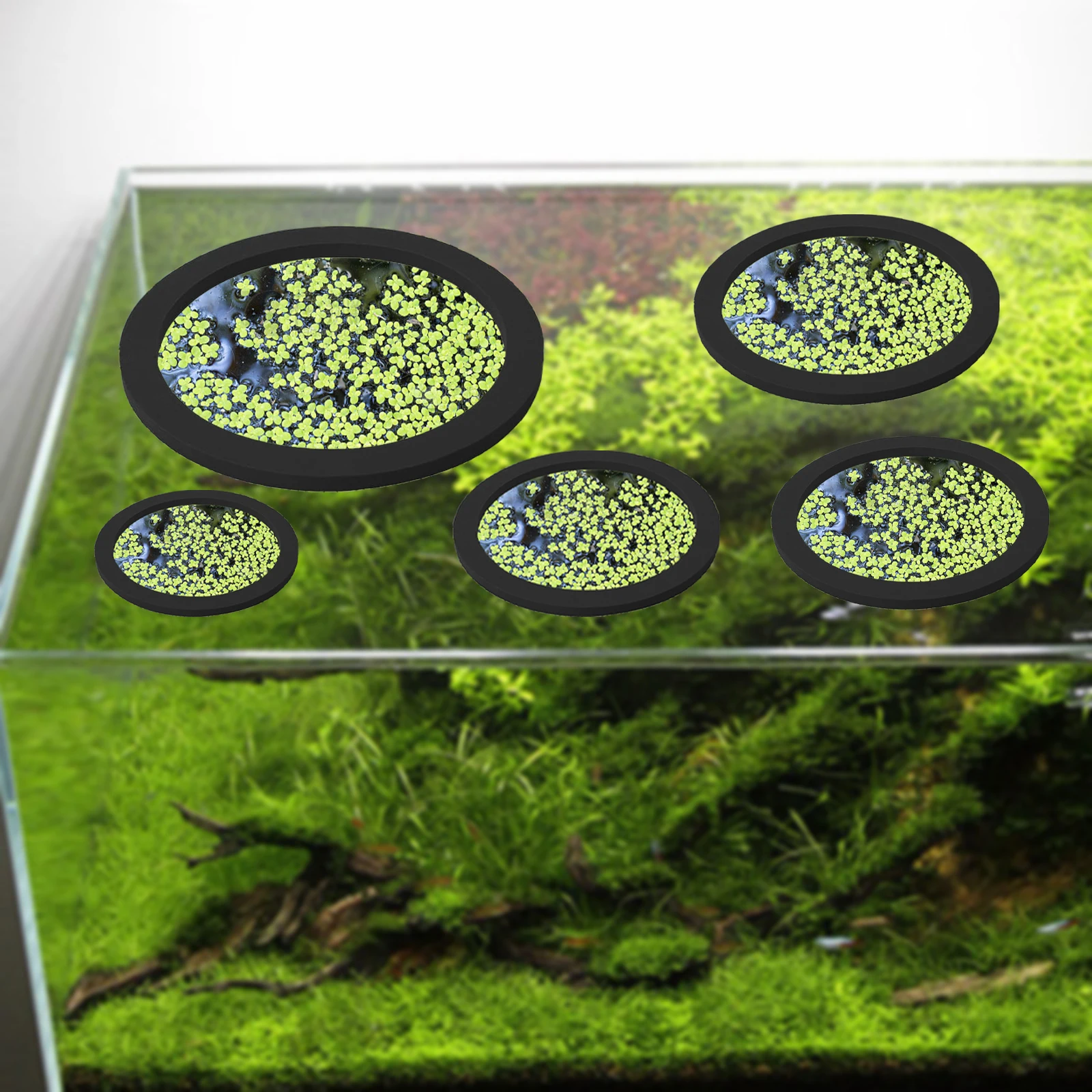 EVA 물고기 먹이 고리 수족관 플로팅 식물, 코랄 어 - Aquarium Plant 리뷰 및 가격