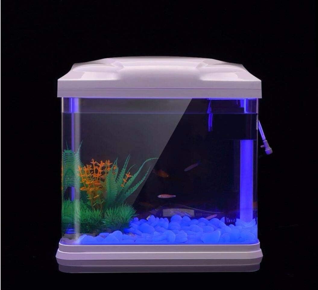물고기 탱크 바위 정원 물고기 탱크 수족관 식물 냄비  - Aquarium Plant 리뷰 및 가격