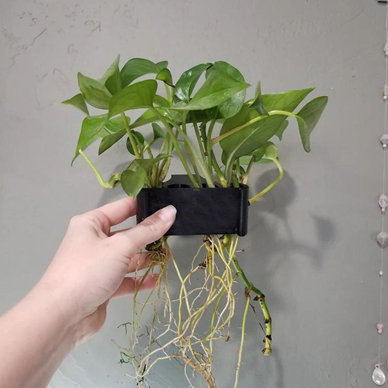 1 2 3개 수족관 식물 지지대 바구니 재배 랙 수생  - Aquarium Planted Set Up 리뷰 및 가격