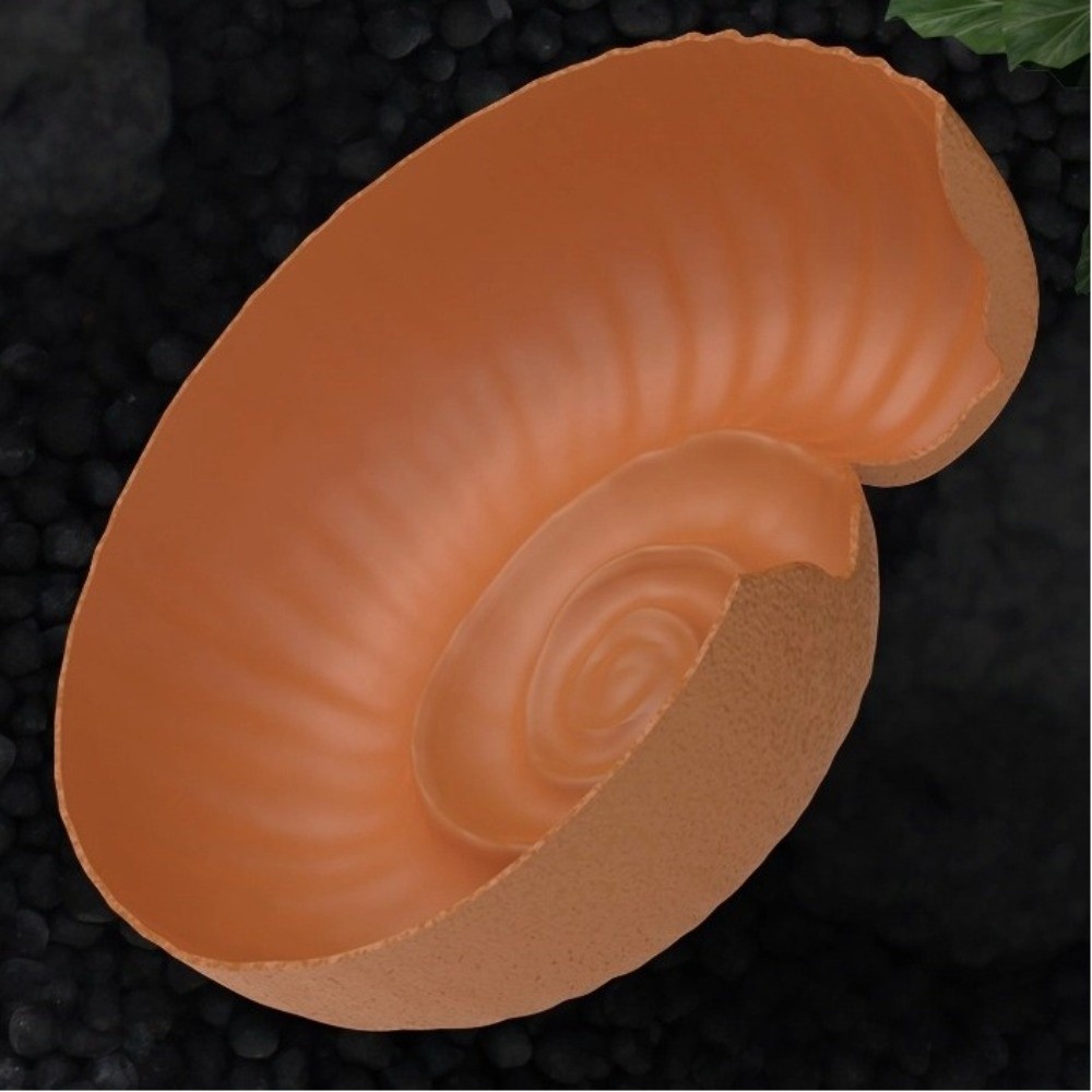 암모나이트 모양 파충류 숨숨 동굴 수족관 장식용 동굴  - Aquarium Planting Ideas 리뷰 및 가격