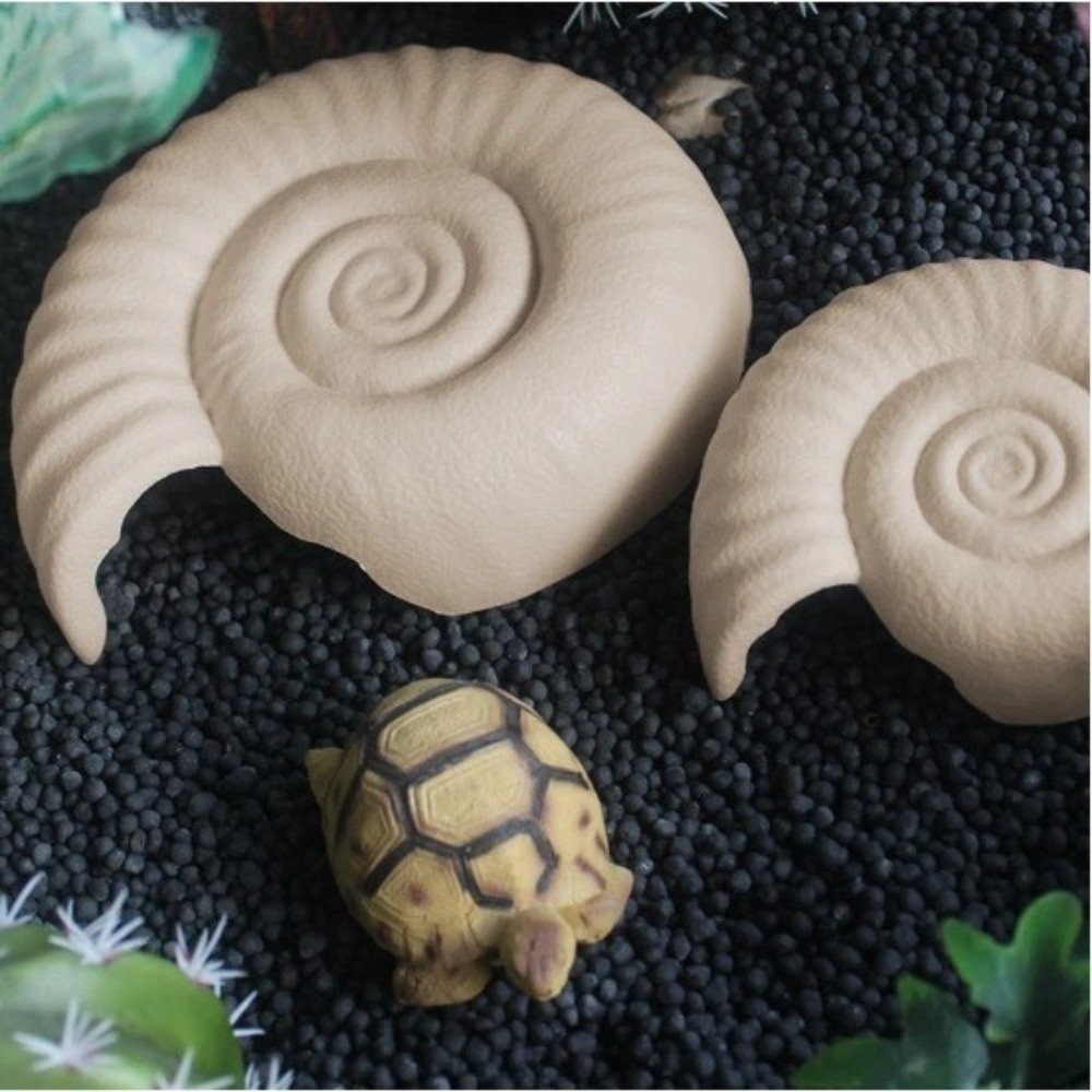 암모나이트 모양 파충류 숨숨 동굴 수족관 장식용 동굴  - Aquarium Planting Ideas 리뷰 및 가격