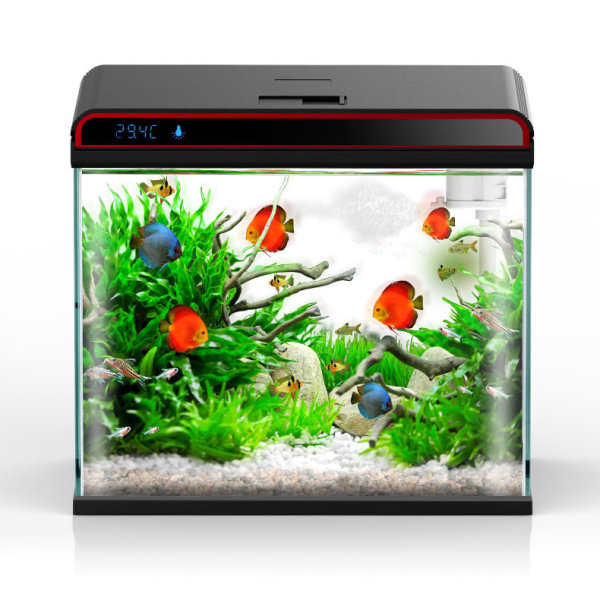 썬썬 4-in-1 수족관 물질 조절기 - 세척/조류 제 - Planted Aquarium Ph 리뷰 및 가격