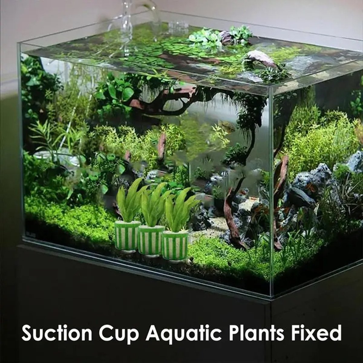 ABNQ 수생 식물 고정 홀더 10pcs 수족관 식물  - Planted Aquarium Tool Kit 리뷰 및 가격