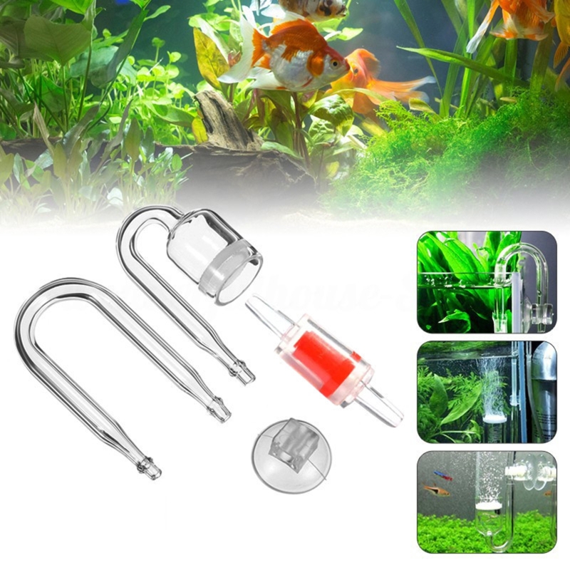 수족관 유리 탱크용 DIY CO2 디퓨저, 버블 반응기 - Aquarium Planting Ideas 리뷰 및 가격
