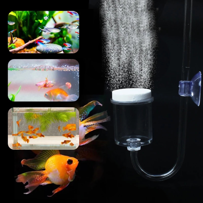 수족관 유리 탱크용 DIY CO2 디퓨저, 버블 반응기 - Aquarium Planting Ideas 리뷰 및 가격